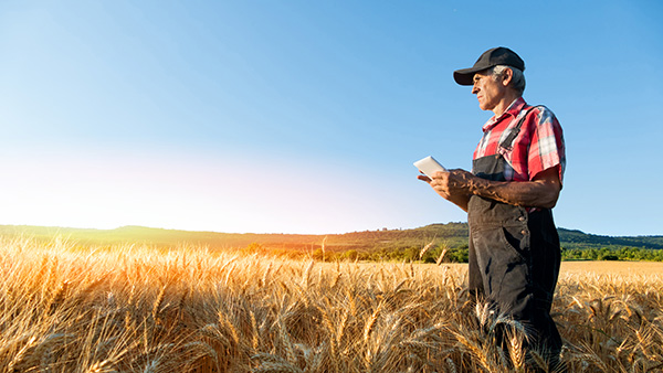 Agricultor en el campo con tablet