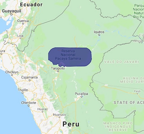 Loon and Internet para todos sign contract to bring balloon-powered  Internet to Telefónica customers in Perú