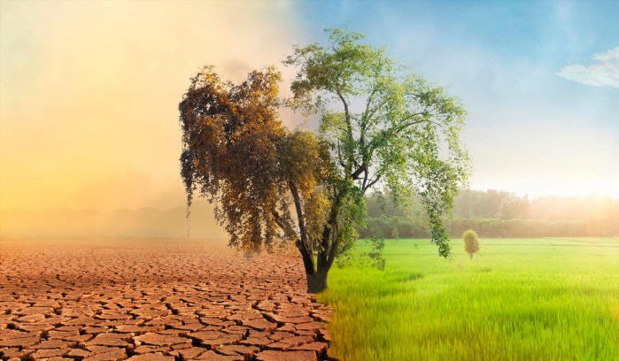 Climate change