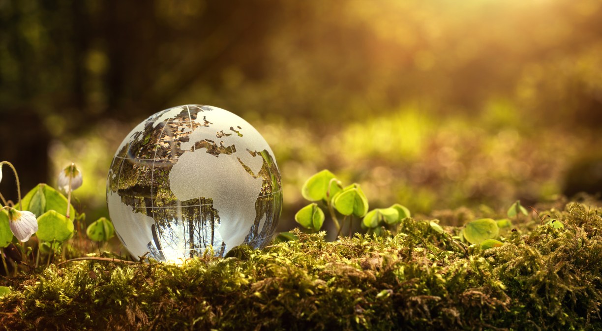 Digital and green transition or technology for the planet - Telefónica