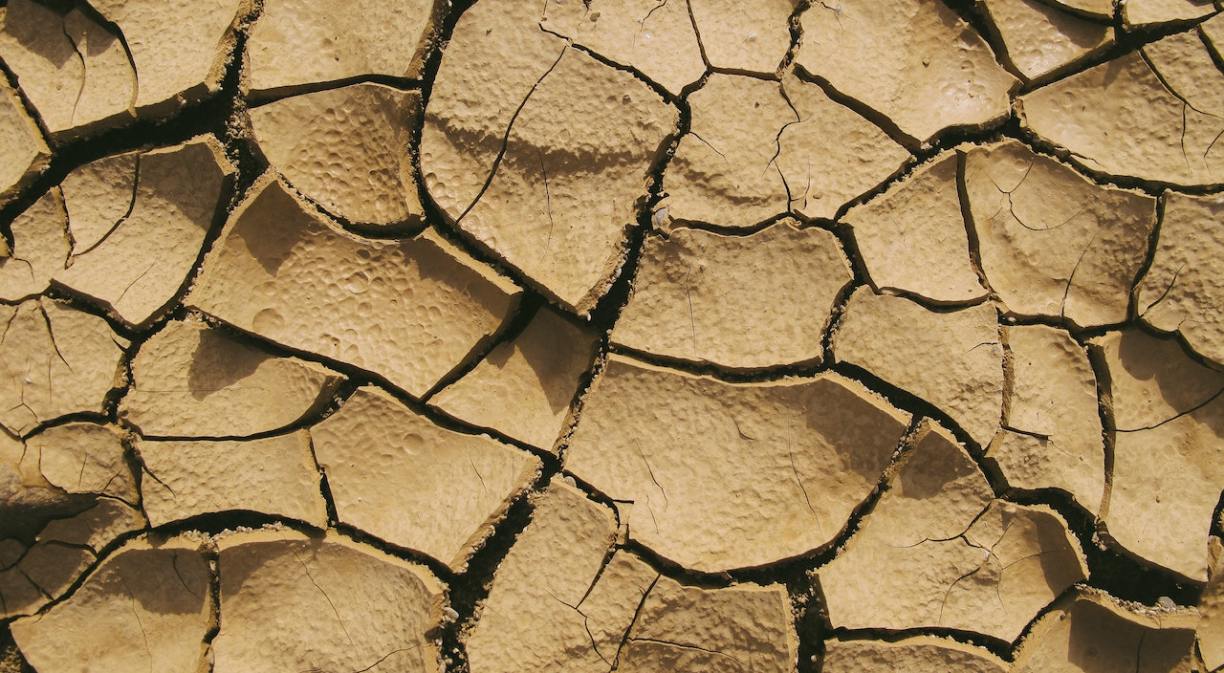 Digitisation to curb the drought