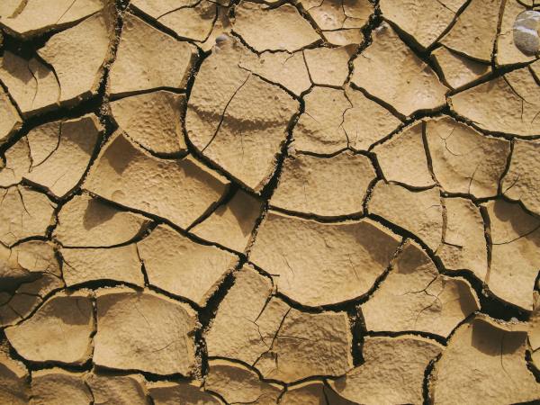 Digitisation to curb the drought