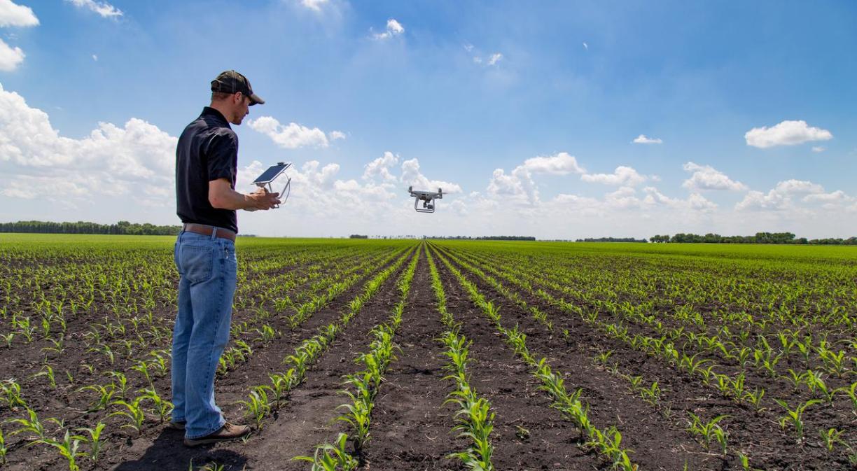 what is agrotech