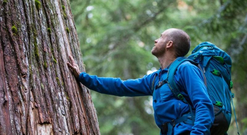 Product and service sustainability asessments: man touching a tree in the middle of nature