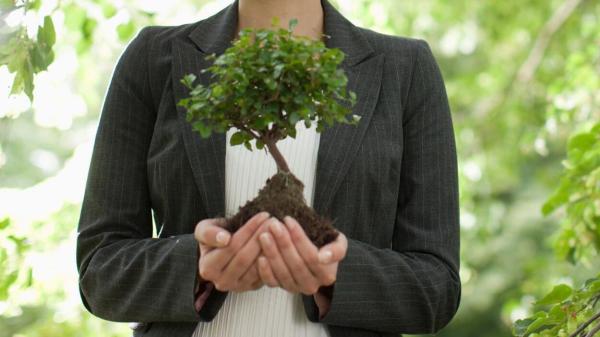 Responsibility in products and services: Person holding a tree with soil