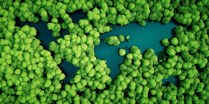 Commitment to the environment in our Management and Sustainability Report