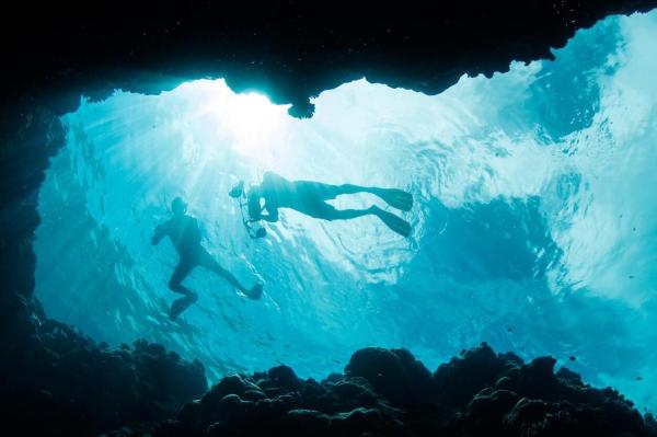 Climate change responses telefonica CDP: two divers in the middle of a blue rocky ocean   