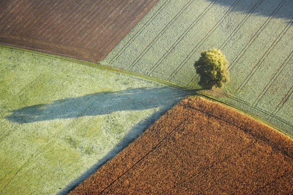 Telefónica framework for the issuance of green and social bonds