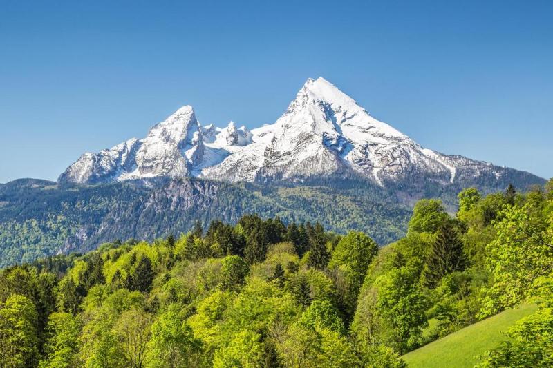Net zero targets validated by SBTi: landscape of green trees with snow-capped mountains in the background