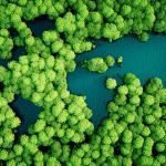 What are the negative effects of the relationship between environment and technology.