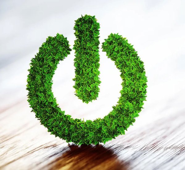 Green digitalisation