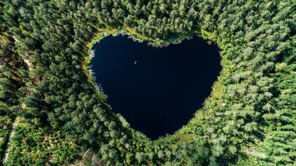 Telefónica successfully launches its first financing operation of the year, a €1,750 million green bond