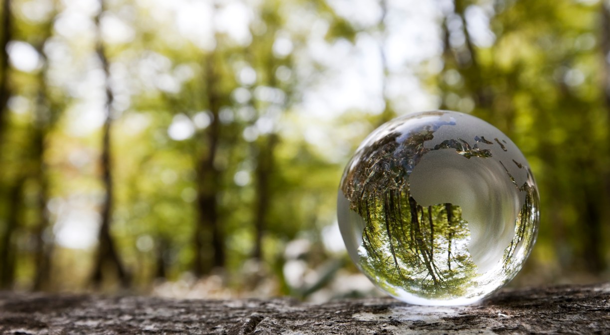 PR Telefónica: a decade as a leader in climate management according to the CDP