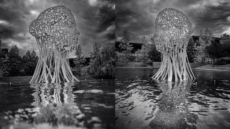 Find out more about the history and present of black and white photography. From the 20th to the 21st Century: Reference Photographers