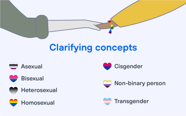 Concepts about sexual diversity 