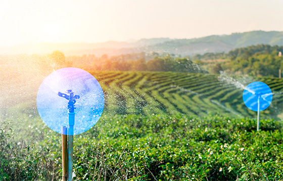 Agricultura inteligente y sostenible