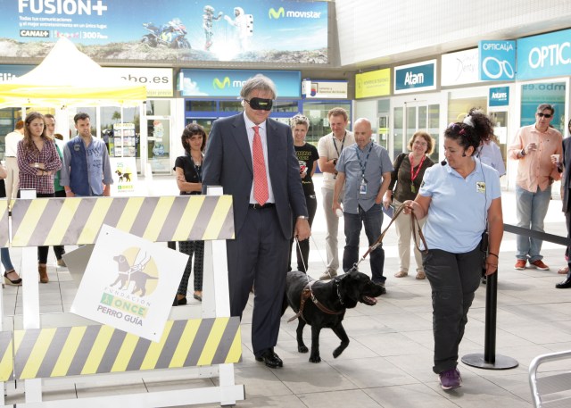 Adrián García Nevado, director del Territorio Centro de Telefónica España, recorre el circuito guiado por uno de los perros de la Fundación Once que protagonizó la exhibición.