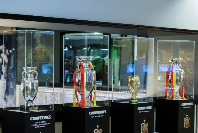 Copas de Europa y Copa del Mundo 2010