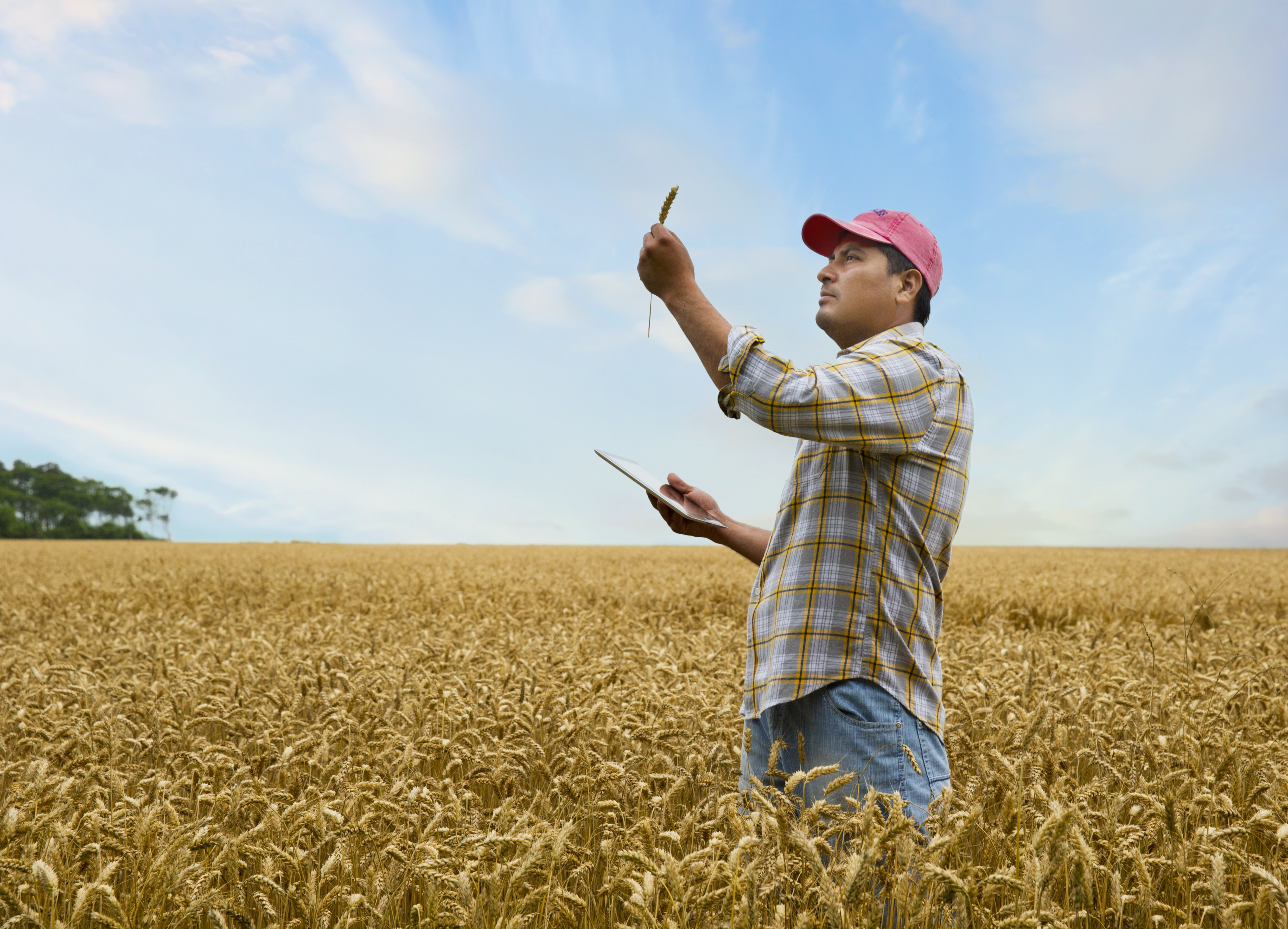 Digitalización de la agricultura