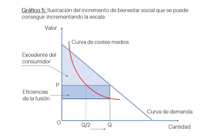 Illustration of the increase in social welfare that can be achieved by increasing the scale