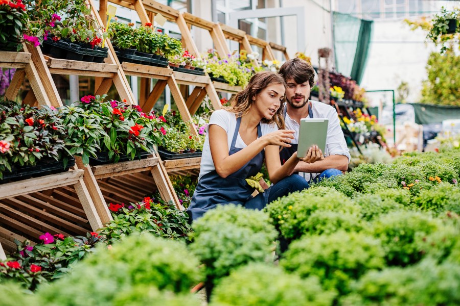 Jóvenes jardineros con tableta digital