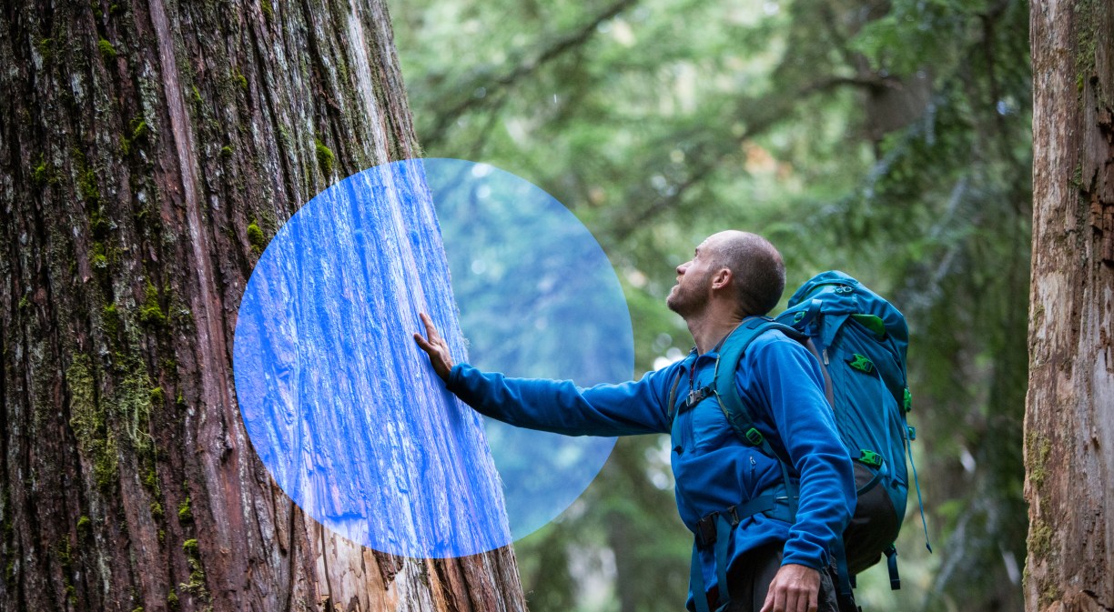 Telefónica, líder en gestión climática por el CDP