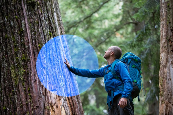 Telefónica, líder en gestión climática por el CDP