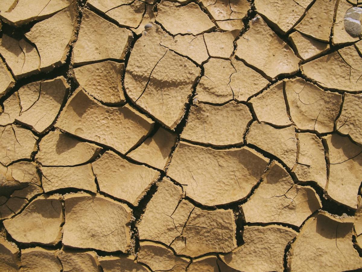 digitalización para frenar la sequía