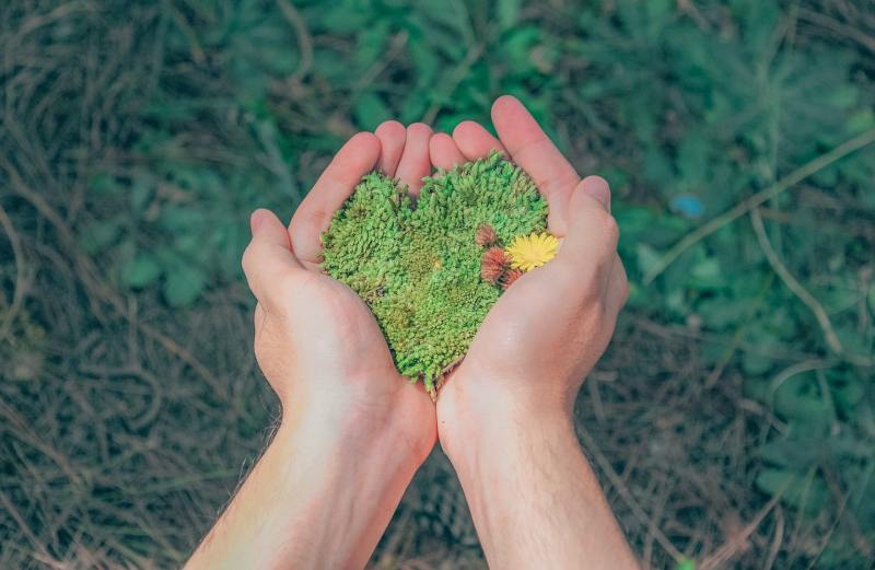 La IA ya está presente en una gran variedad de áreas de investigación, como el ámbito de la salud y el del cuidado del medio ambiente.