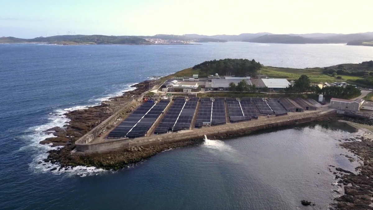 Granjas acuícolas de Stolt Sea Farm