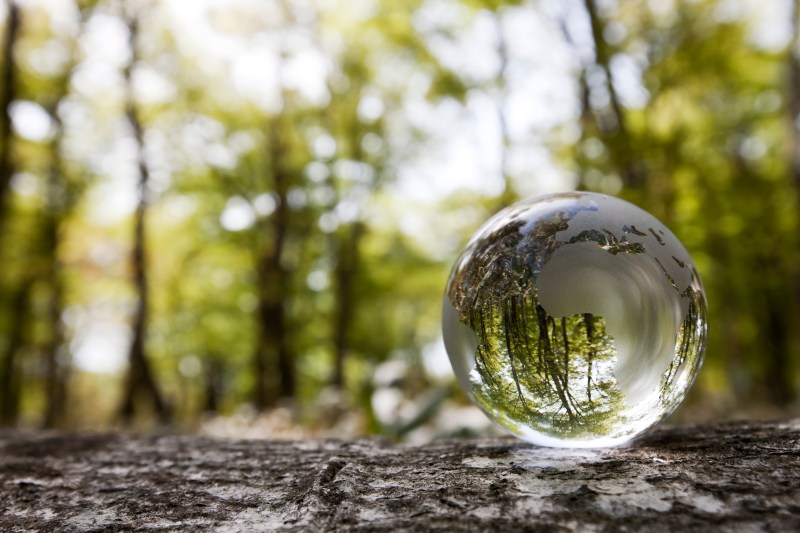 Telefónica acelera sus objetivos de reducción de emisiones en línea con las prioridades de la COP28