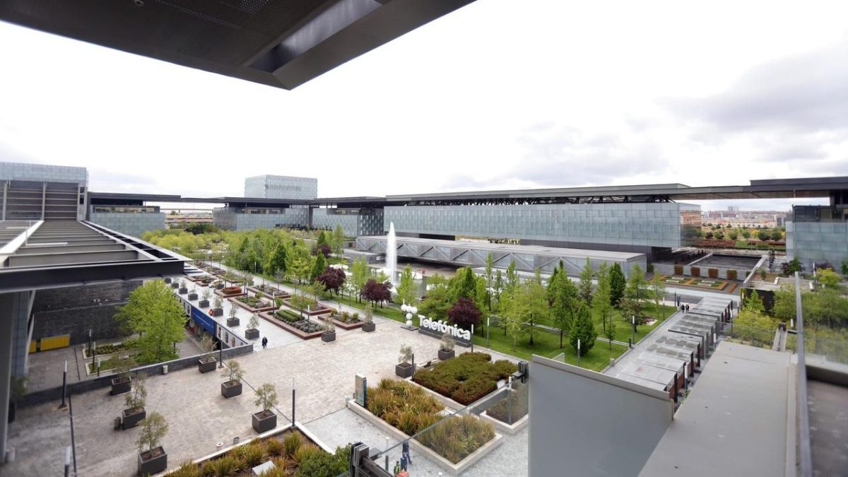 Conoce la biodiversidad en Distrito Telefónica dándote un paseo por la Plaza Este.