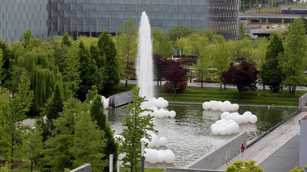 Descubre más sobre la Biodiversidad en Distrito Telefónica: paseo por la zona central, entre zona comercial y la de formación.