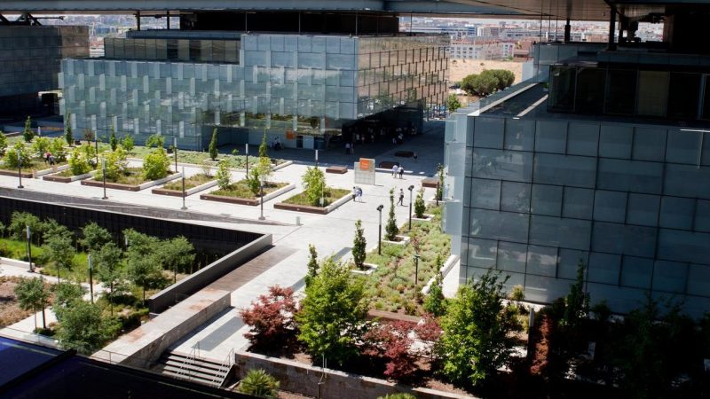 Biodiversidad en Distrito Telefónica: plazas Norte y Oeste