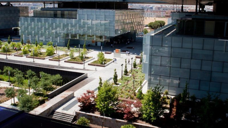 Descubre la biodiversidad en Distrito Telefónica: date un paseo por la zona central entre las plazas Este y Sur con nosotros.