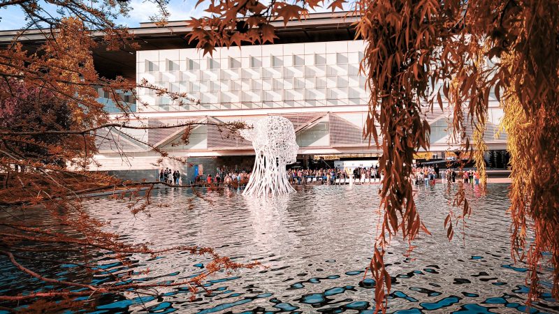 Descubre la biodiversidad de animales en Distrito Telefónica, conoce que tipos de aves hay en nuestras instalaciones.