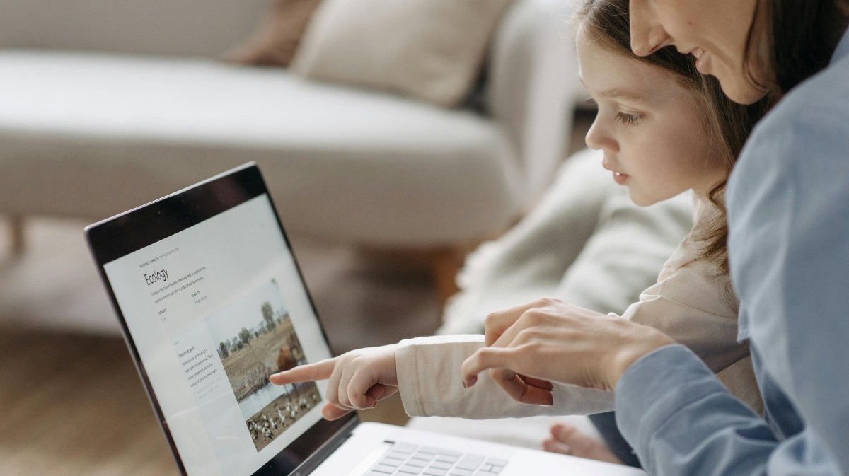 Protección de menores y verificación de edad online - el caso de Francia