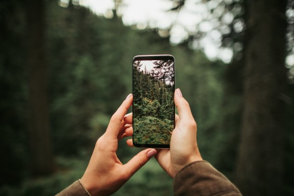 Persona fotografía un bosque con su smartphone, destacando la conexión entre tecnología y naturaleza en el contexto de la acción climática.